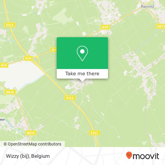 Wizzy (bij) map