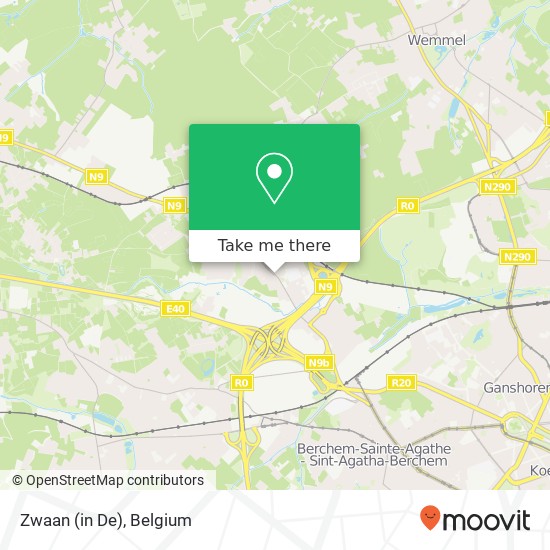 Zwaan (in De) map