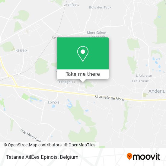 Tatanes AilÉes Epinois plan