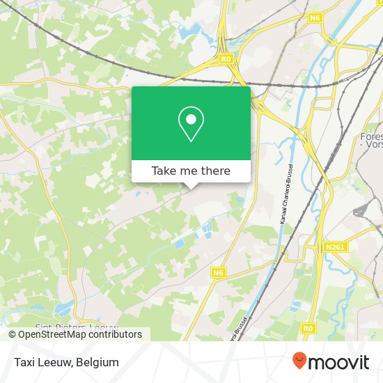 Taxi Leeuw plan