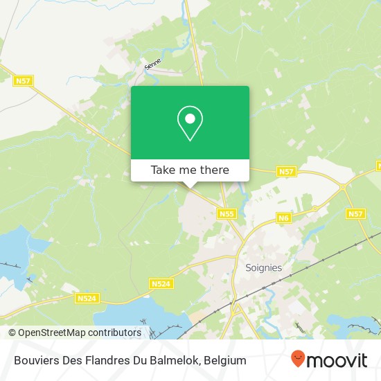 Bouviers Des Flandres Du Balmelok map