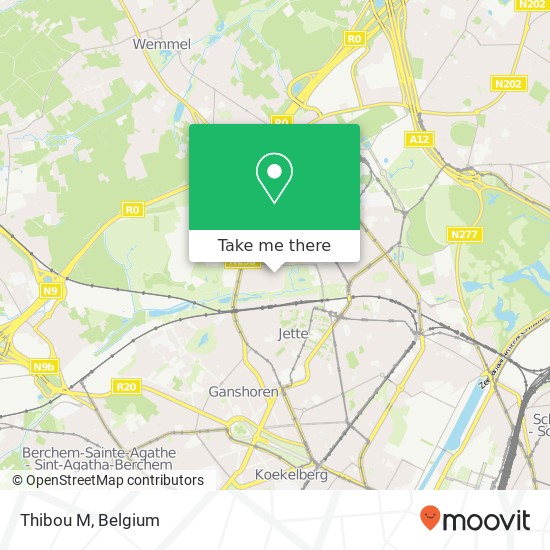 Thibou M map