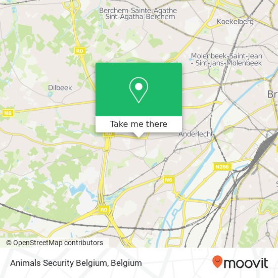 Animals Security Belgium plan