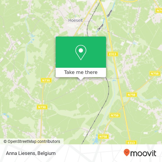 Anna Liesens map