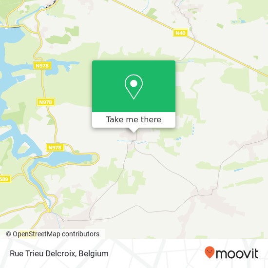 Rue Trieu Delcroix map