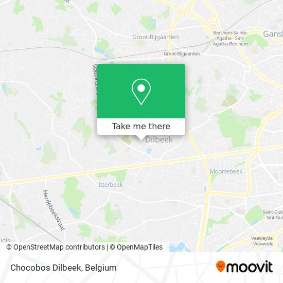 Chocobos Dilbeek map