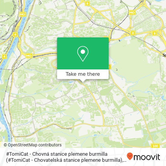 Карта #TomiCat - Chovná stanice plemene burmilla