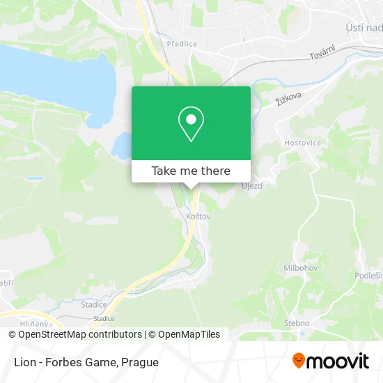 Карта Lion - Forbes Game