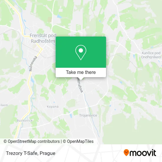 Карта Trezory T-Safe