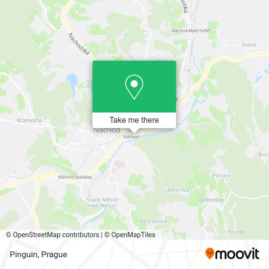 Pinguin map