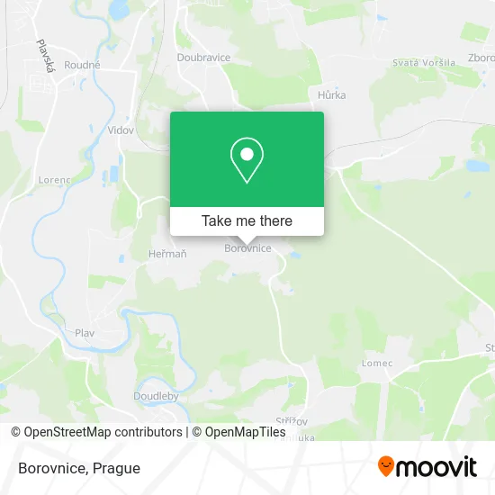 Карта Borovnice