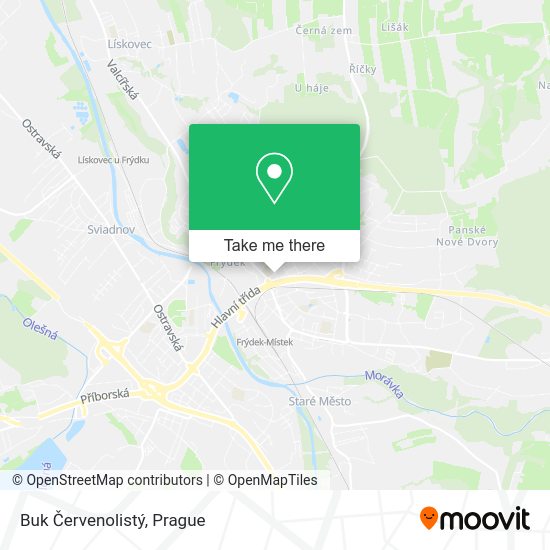 Buk Červenolistý map