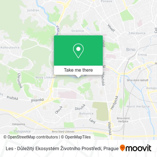 Les - Důležitý Ekosystém Životního Prostředí map
