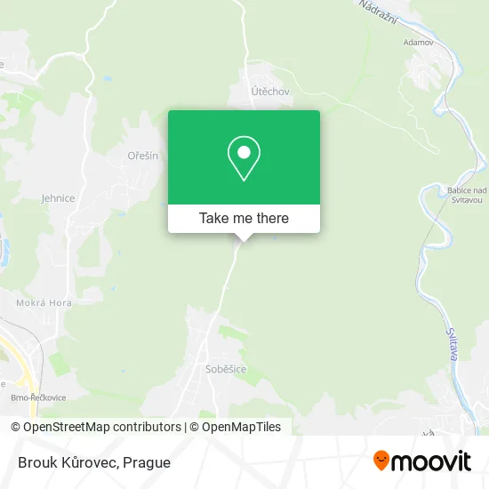 Карта Brouk Kůrovec