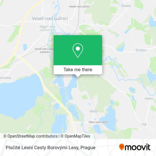Písčité Lesní Cesty Borovými Lesy map