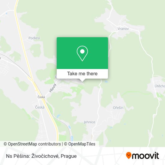 Ns Pěšina: Živočichové map