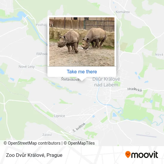 Карта Zoo Dvůr Králové