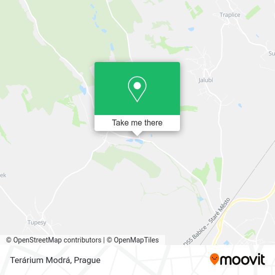 Карта Terárium Modrá