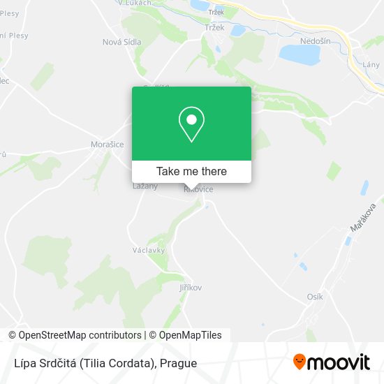 Lípa Srdčitá (Tilia Cordata) map