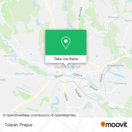 Карта Tulipán