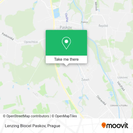 Карта Lenzing Biocel Paskov