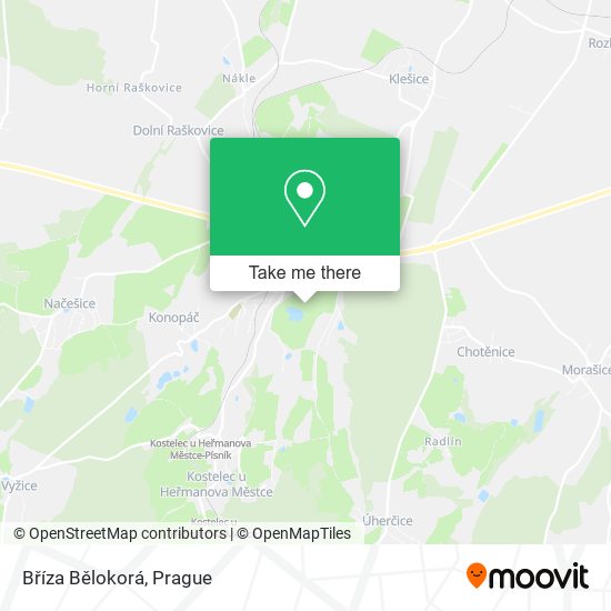 Bříza Bělokorá map
