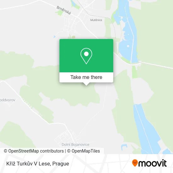 Kříž Turkův V Lese map