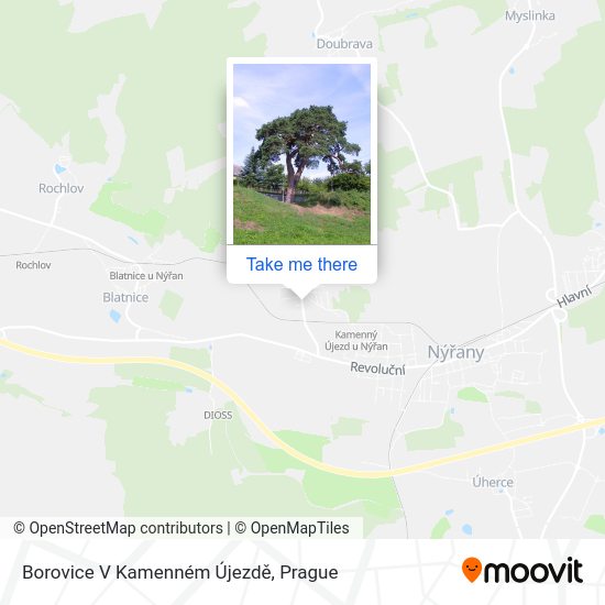 Borovice V Kamenném Újezdě map