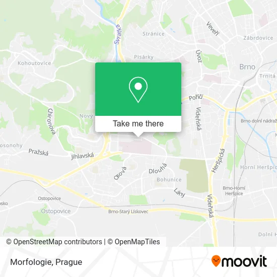 Карта Morfologie