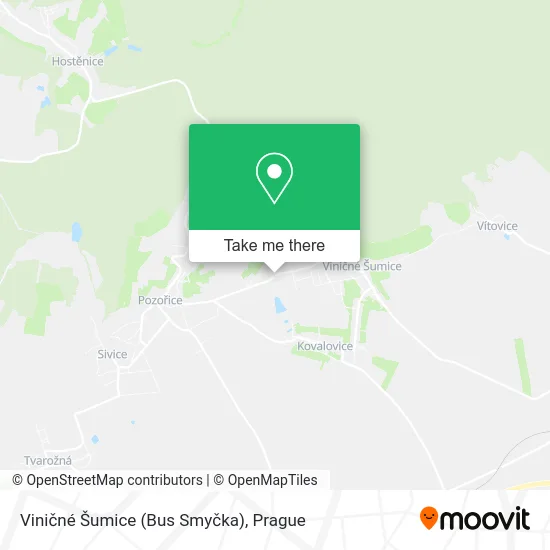 Карта Viničné Šumice (Bus Smyčka)