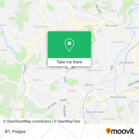 B1 map