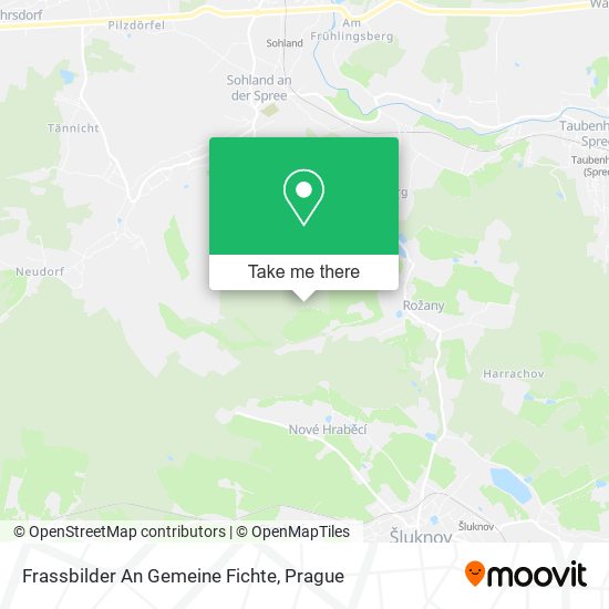 Frassbilder An Gemeine Fichte map