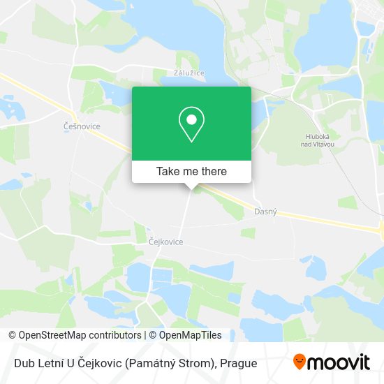 Dub Letní U Čejkovic (Památný Strom) map