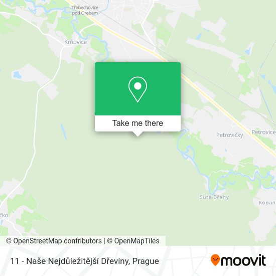 11 - Naše Nejdůležitější Dřeviny map