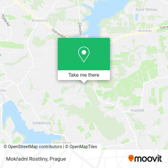 Mokřadní Rostliny map