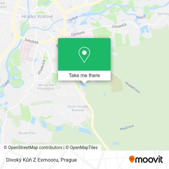 Divoký Kůň Z Exmooru map