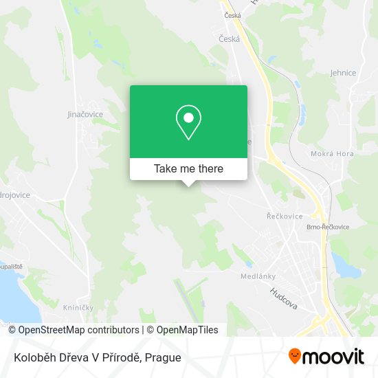 Koloběh Dřeva V Přírodě map