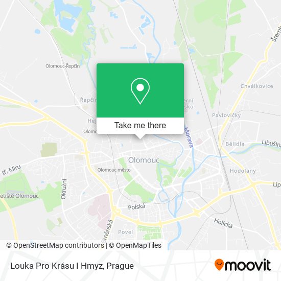 Louka Pro Krásu I Hmyz map
