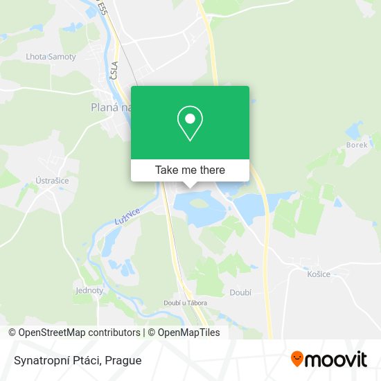 Synatropní Ptáci map