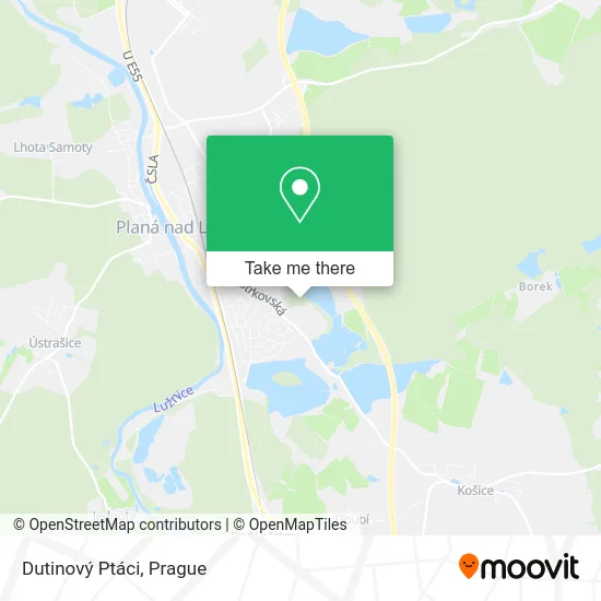 Dutinový Ptáci map
