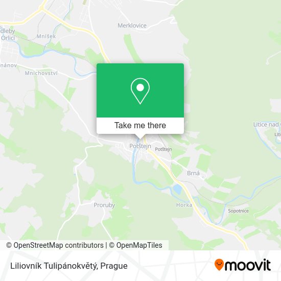 Liliovník Tulipánokvětý map