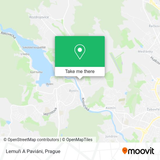 Lemuři A Paviáni map