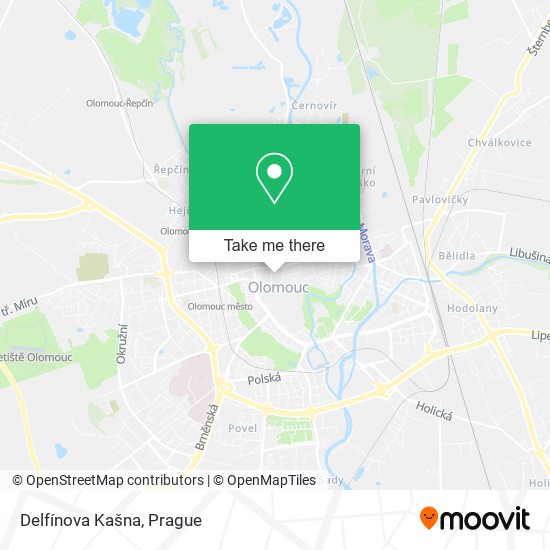 Delfínova Kašna map
