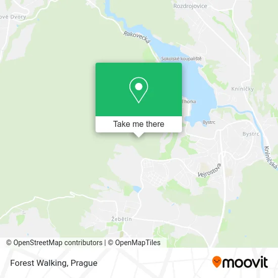 Карта Forest Walking