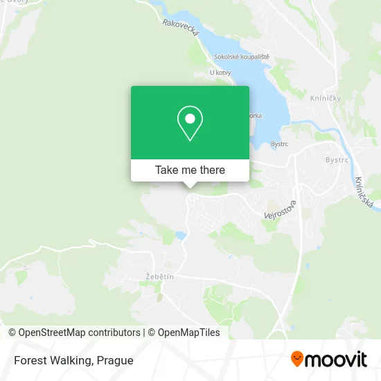 Карта Forest Walking