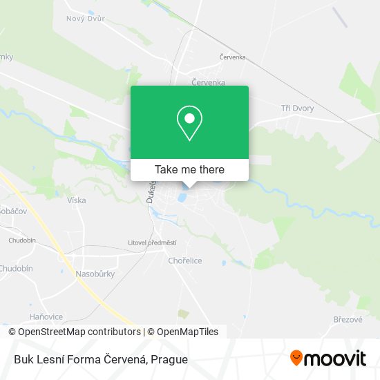 Buk Lesní Forma Červená map