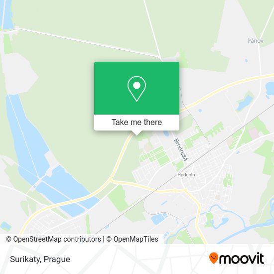Карта Surikaty
