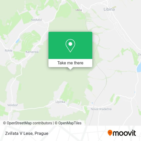 Zvířata V Lese map