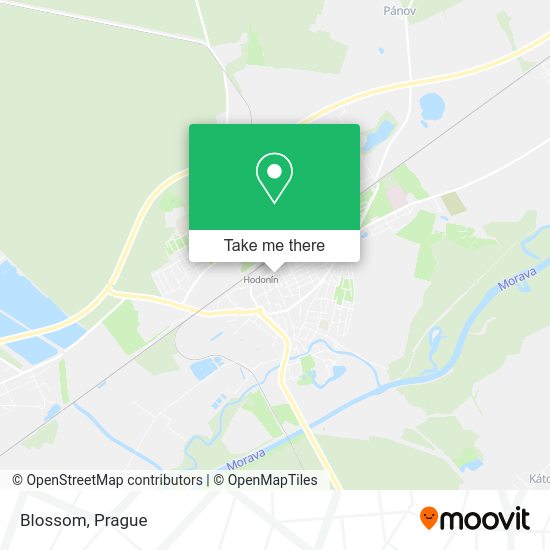 Карта Blossom