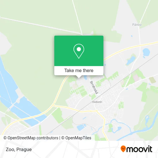 Карта Zoo
